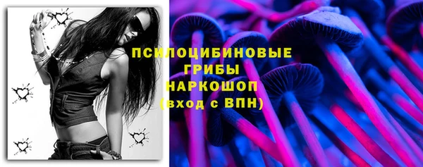 МДПВ Богданович