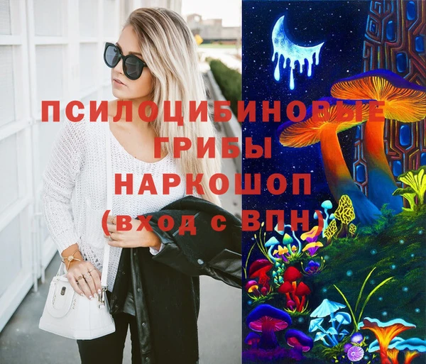 гидропоника Бородино