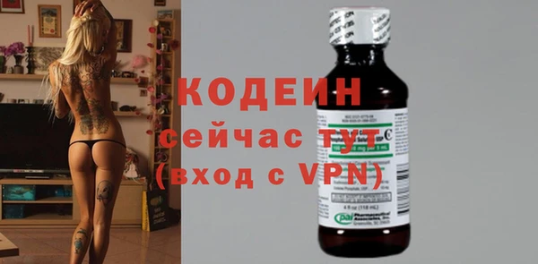 spice Богородск