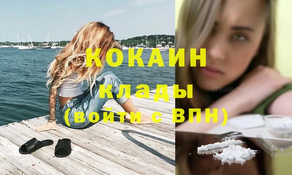 гидропоника Бородино