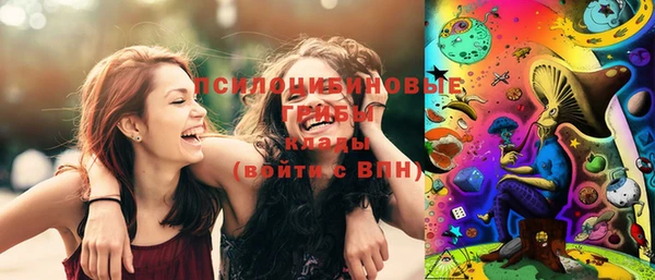гидропоника Бородино