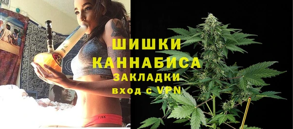 spice Богородск