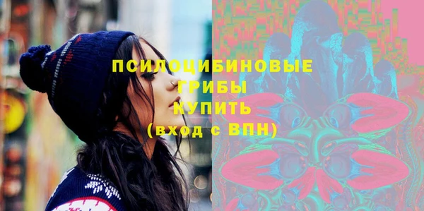 гидропоника Бородино
