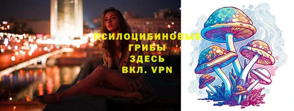 spice Богородск